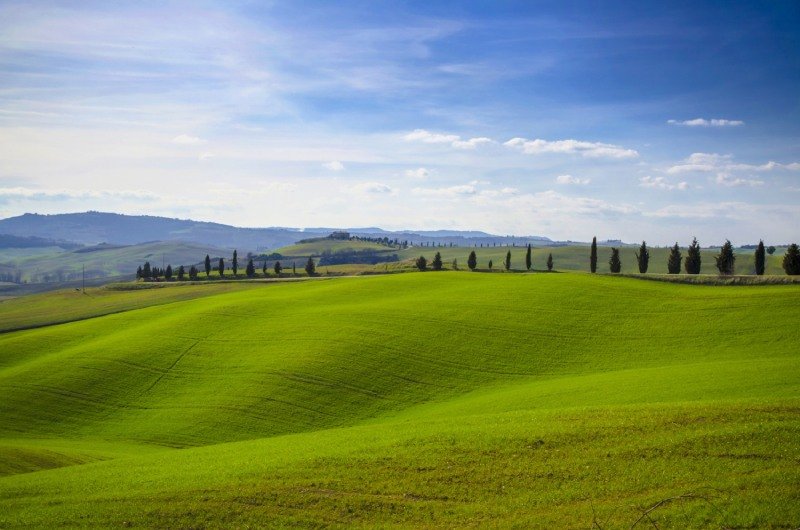 Beautiful landscape of green rolling hills beside a road with trees