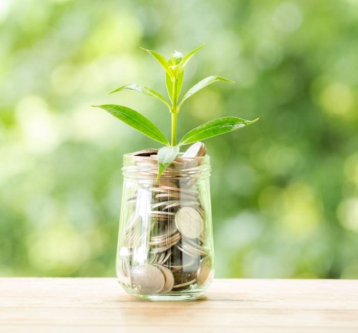 avatar Plant growing from coins in the glass jar