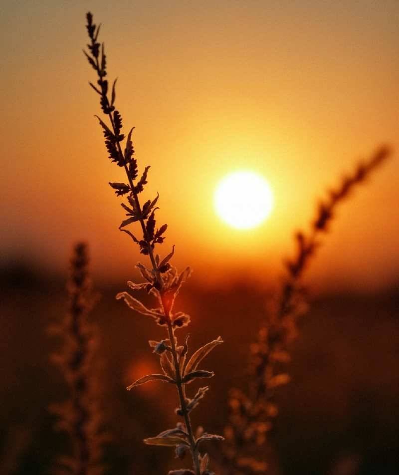 _beautiful-sunset-scene