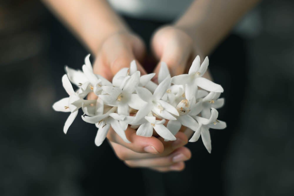 Midsection of woman holding white flowers at home