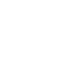 professional-services(1)