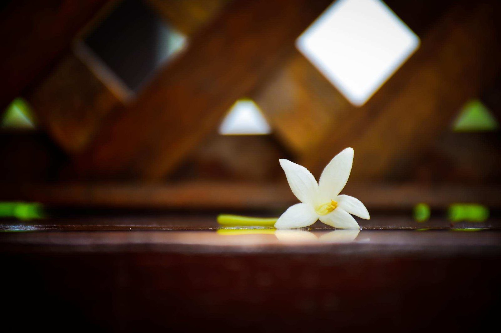 white flower on table