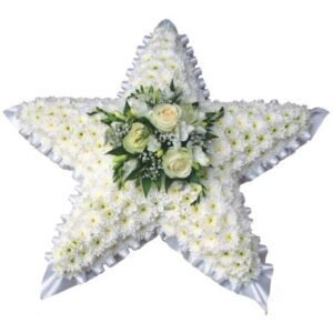 Star Tribute 24″